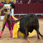 Olivenza(badajoz) - Festejo vespertino del sábado 3 de marzo de 2018