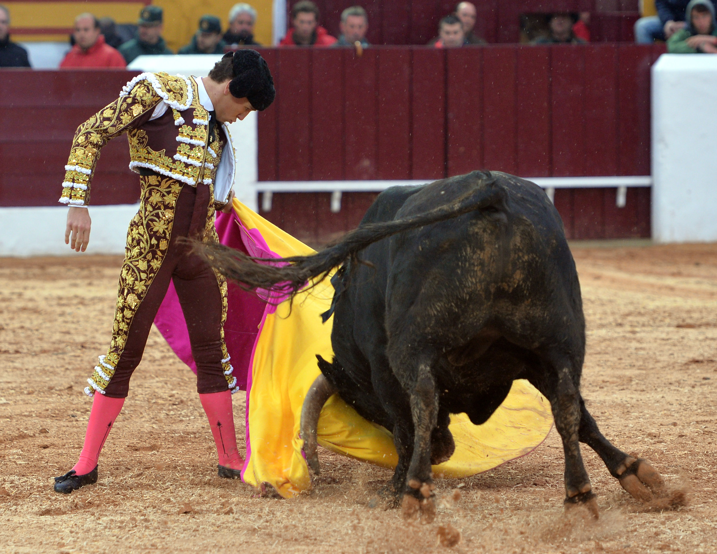 Olivenza(badajoz) - Festejo vespertino del sábado 3 de marzo de 2018