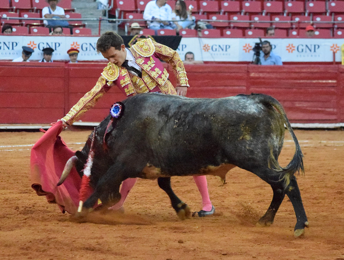 Primera novillada del ciclo "Soñadores de Gloria" en México D.F.