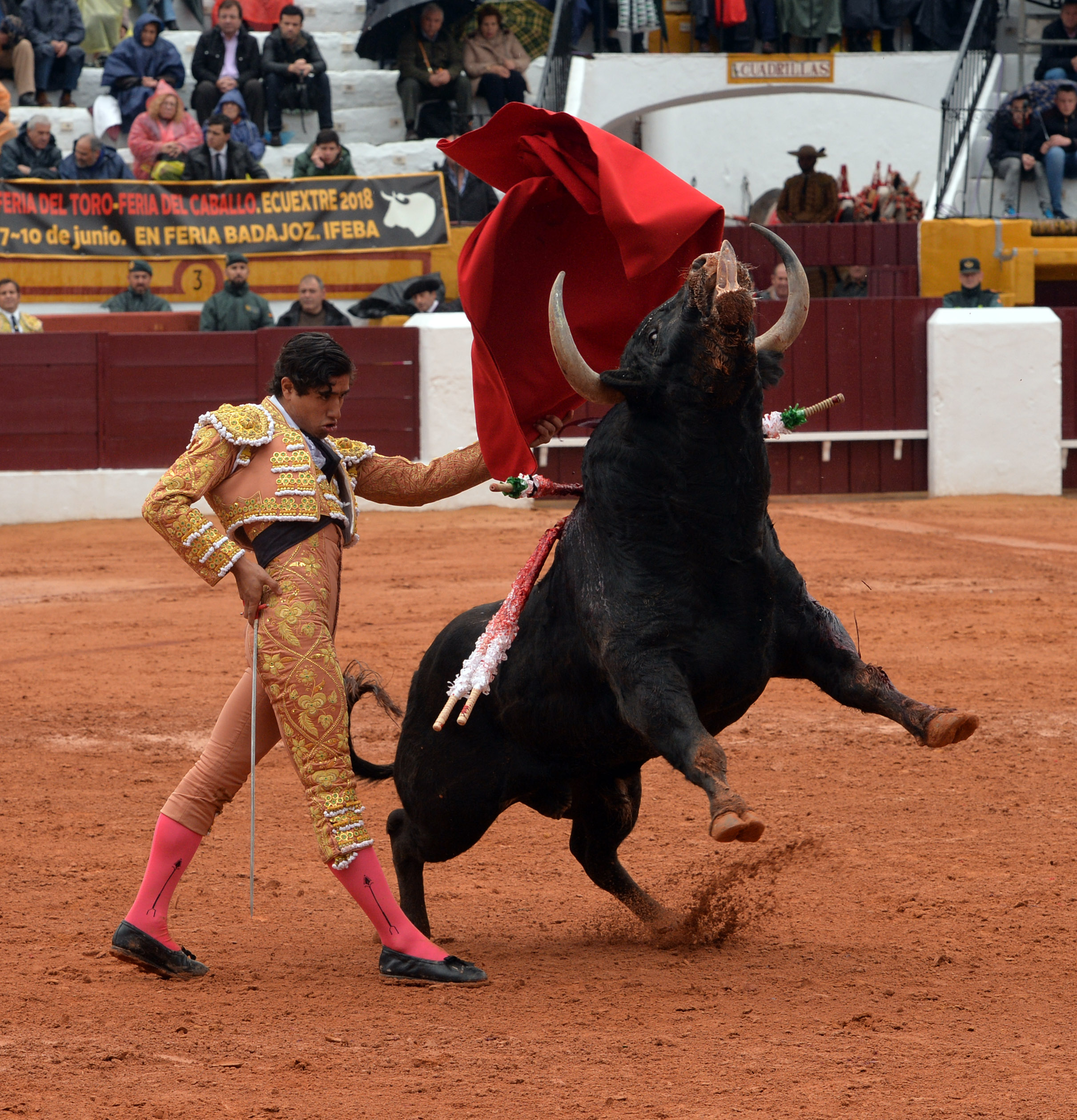 Olivenza - Sábado 3 de marzo de 2018 - Festejo matinal
