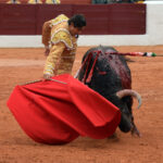 Olivenza - Sábado 3 de marzo de 2018 - Festejo matinal