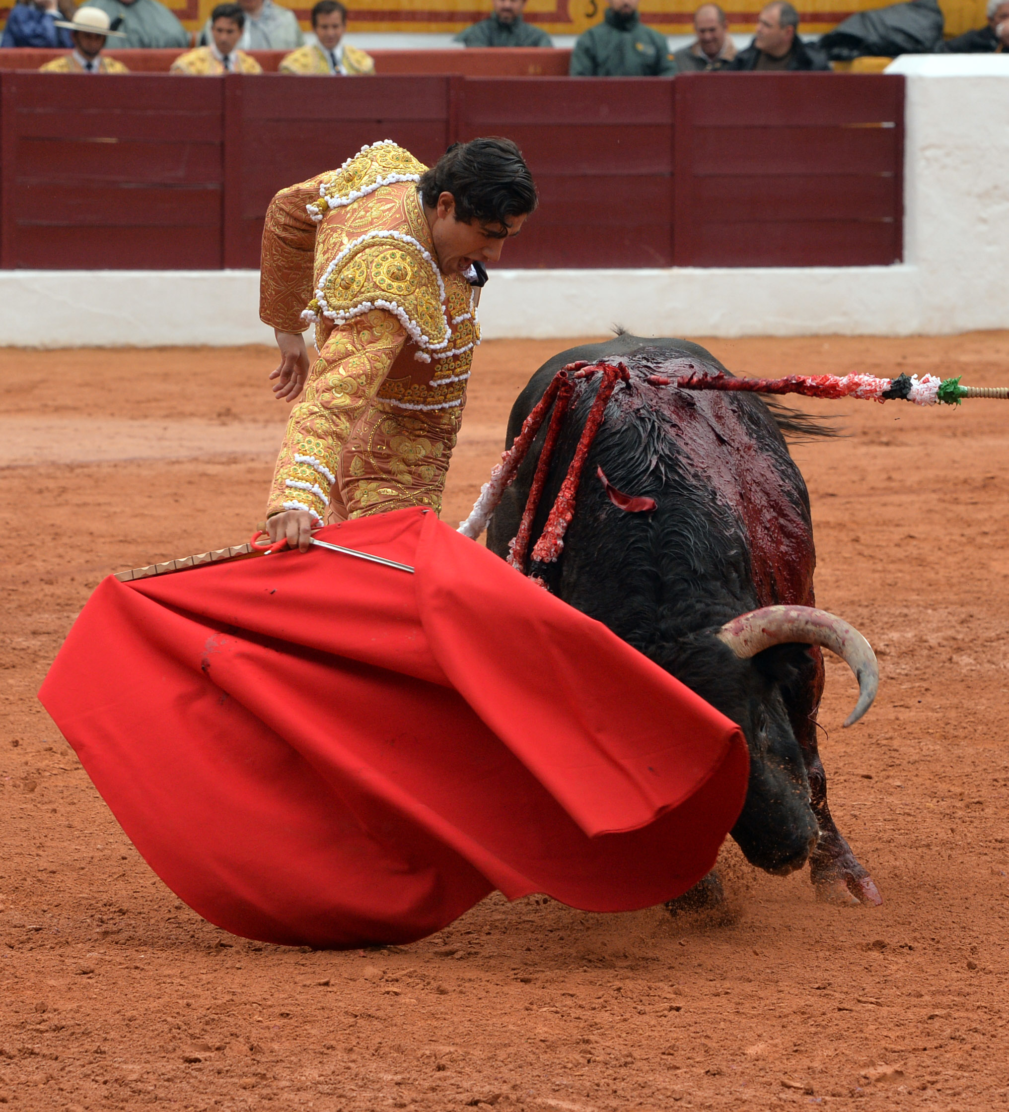 Olivenza - Sábado 3 de marzo de 2018 - Festejo matinal