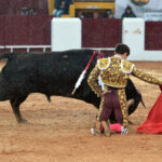 Olivenza(badajoz) - Festejo vespertino del sábado 3 de marzo de 2018