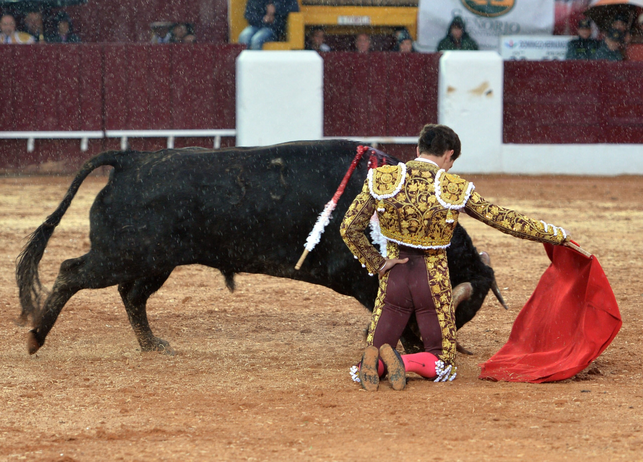 Olivenza(badajoz) - Festejo vespertino del sábado 3 de marzo de 2018