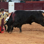 Olivenza(badajoz) - Festejo vespertino del sábado 3 de marzo de 2018