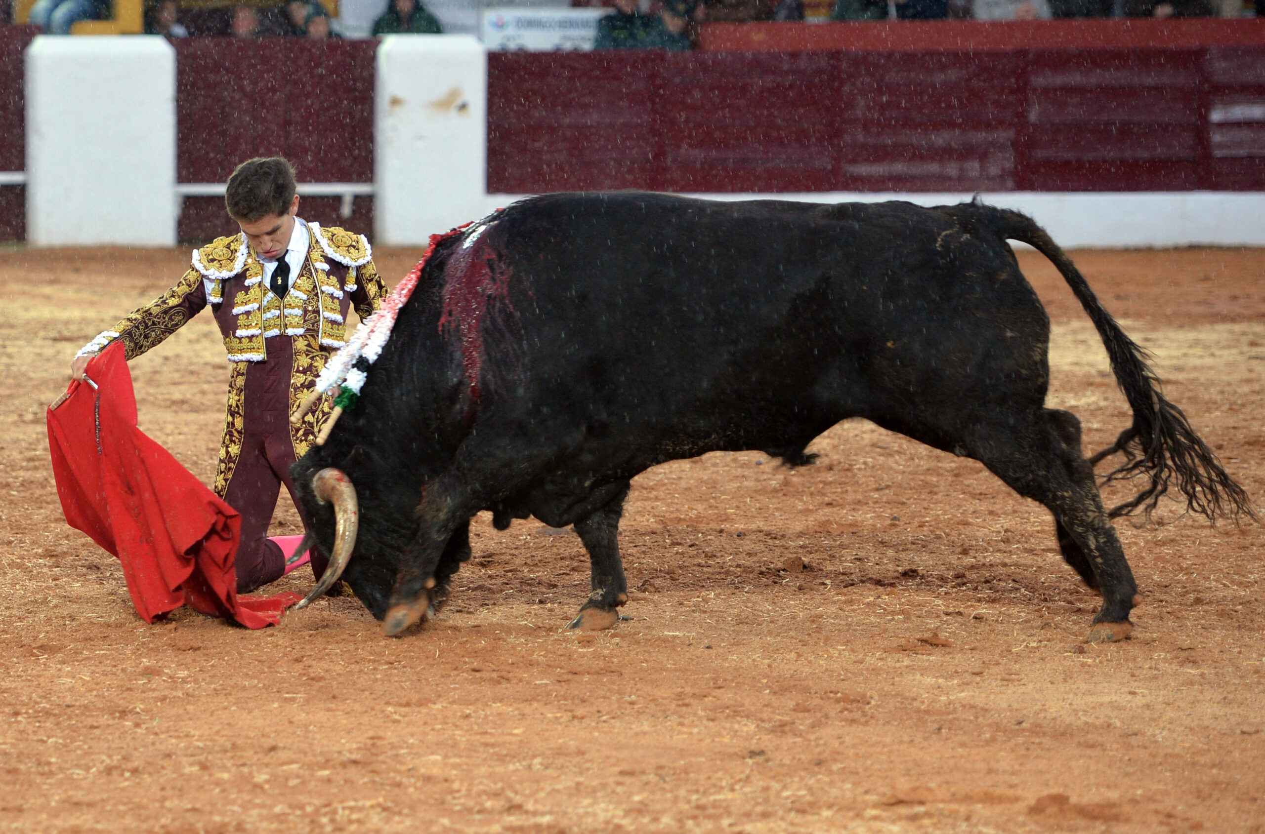 Olivenza(badajoz) - Festejo vespertino del sábado 3 de marzo de 2018