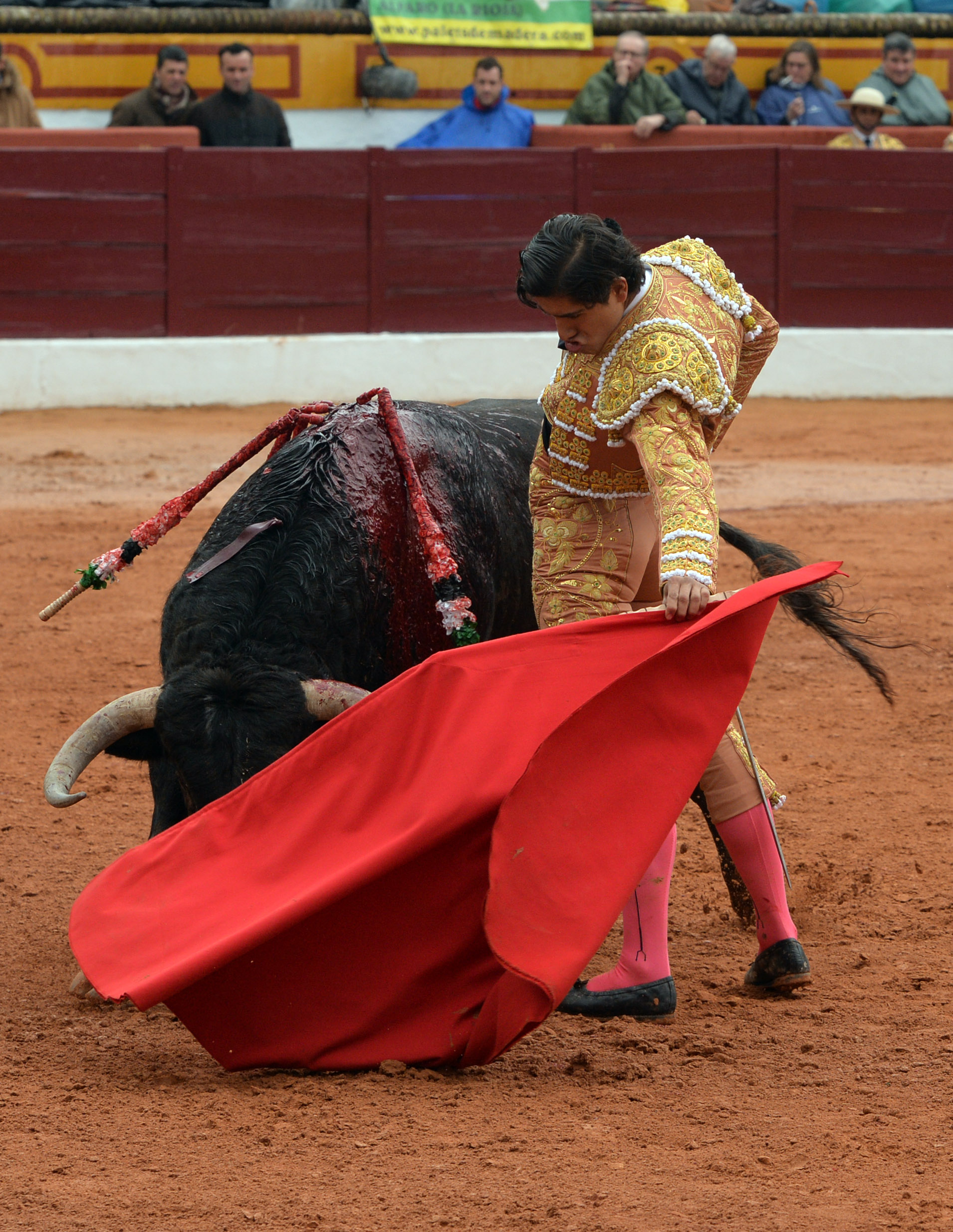 Olivenza - Sábado 3 de marzo de 2018 - Festejo matinal