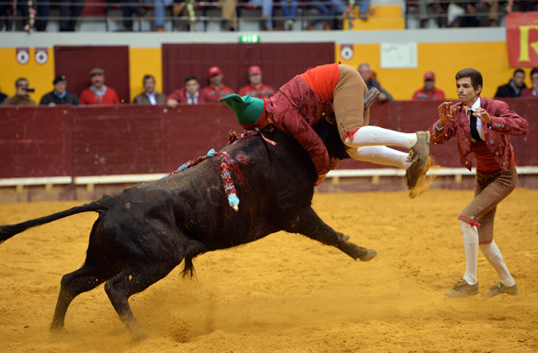 Redondo (Portugal) - Festival Radio Campanario - Sábado 10 de marzo de 2018