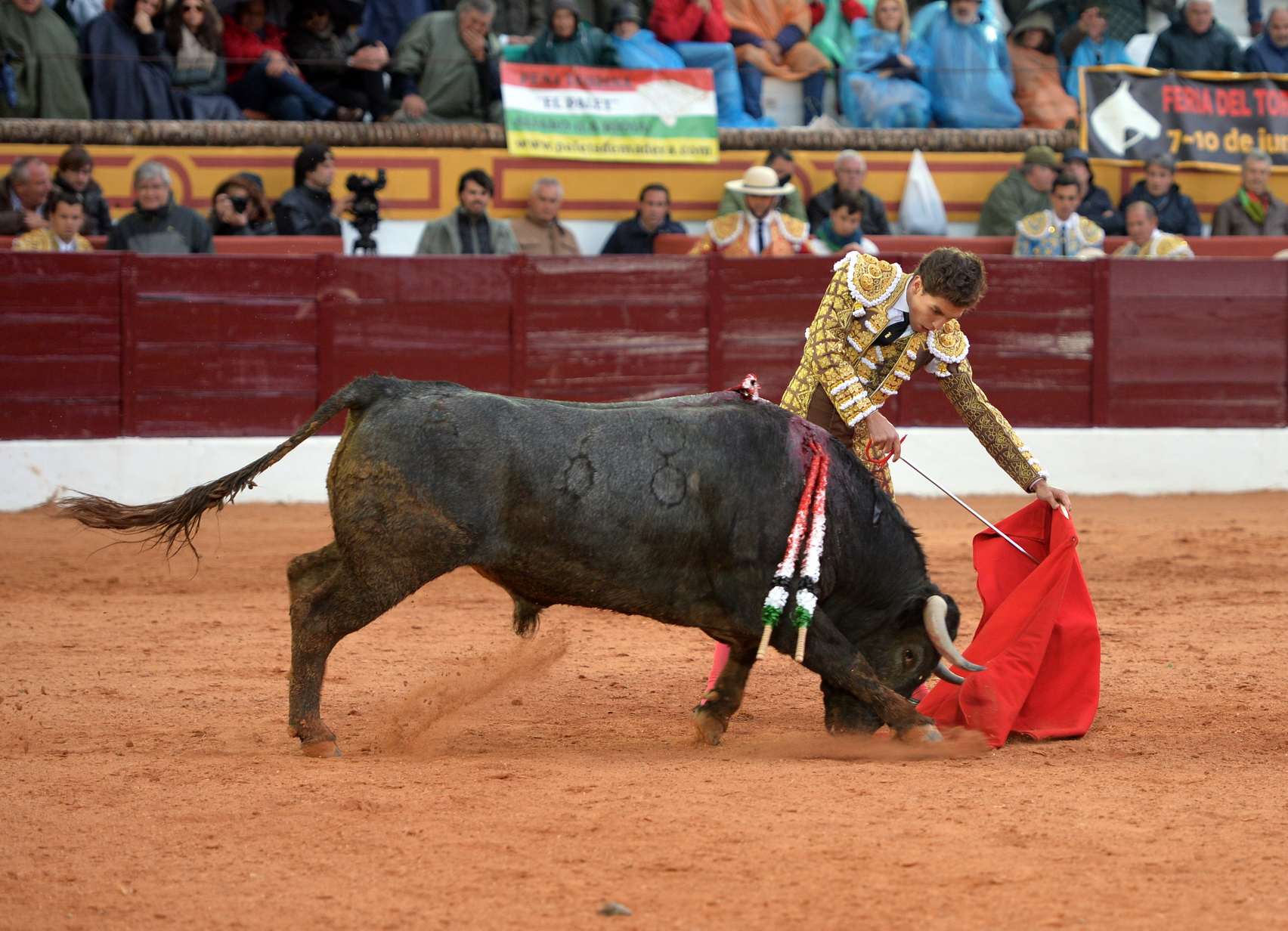 Olivenza (Badajoz) - Festejo vespertino del domingo 4 de marzo de 2018