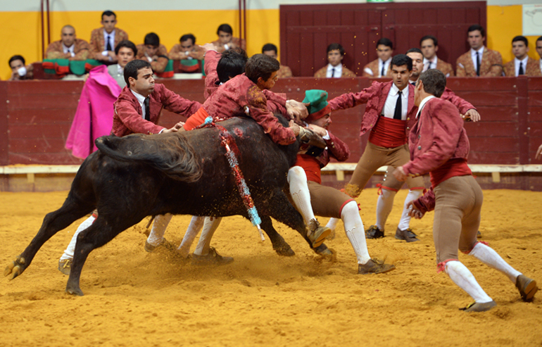 Redondo (Portugal) - Festival Radio Campanario - Sábado 10 de marzo de 2018