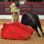 Olivenza(badajoz) - Festejo vespertino del sábado 3 de marzo de 2018