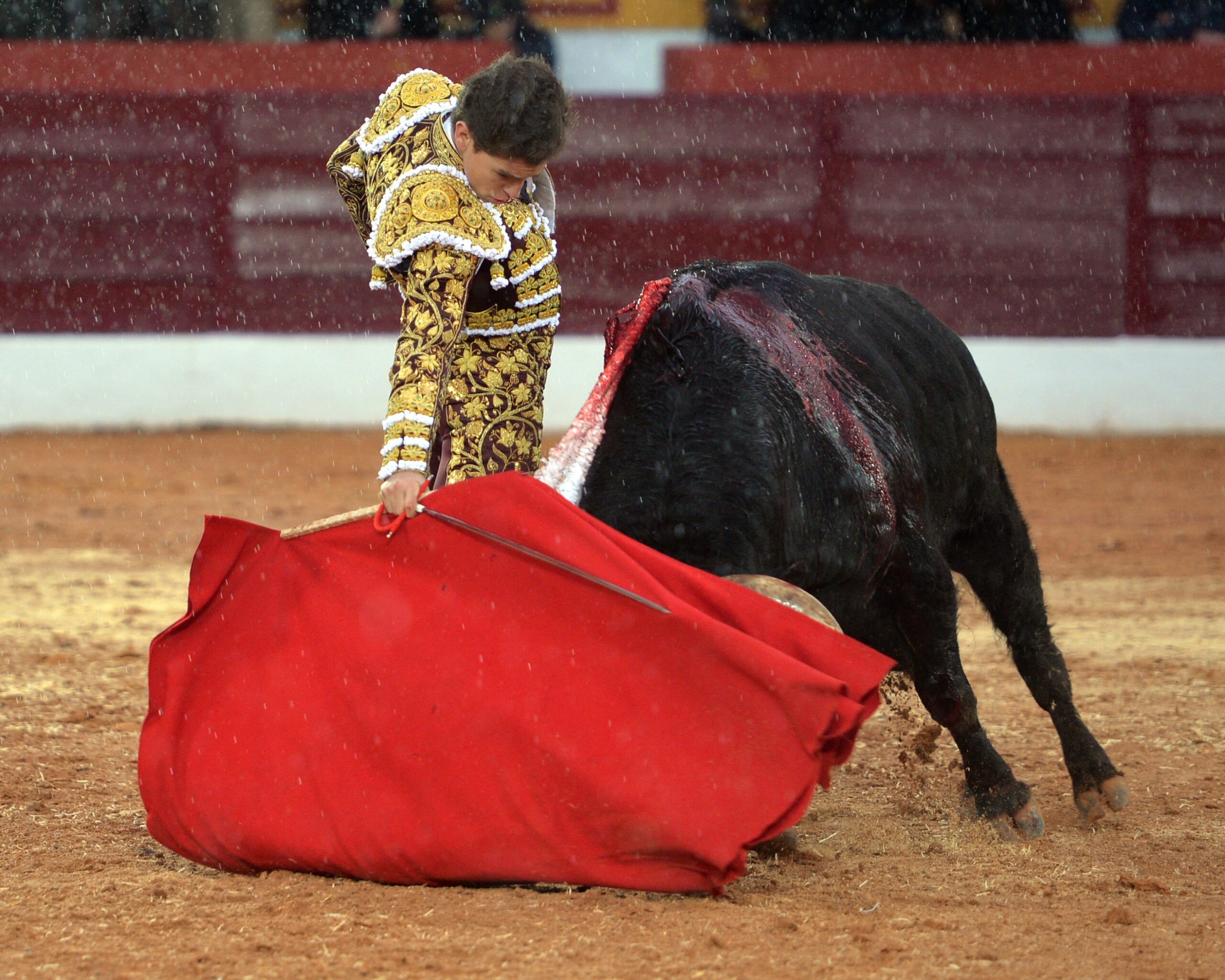 Olivenza(badajoz) - Festejo vespertino del sábado 3 de marzo de 2018