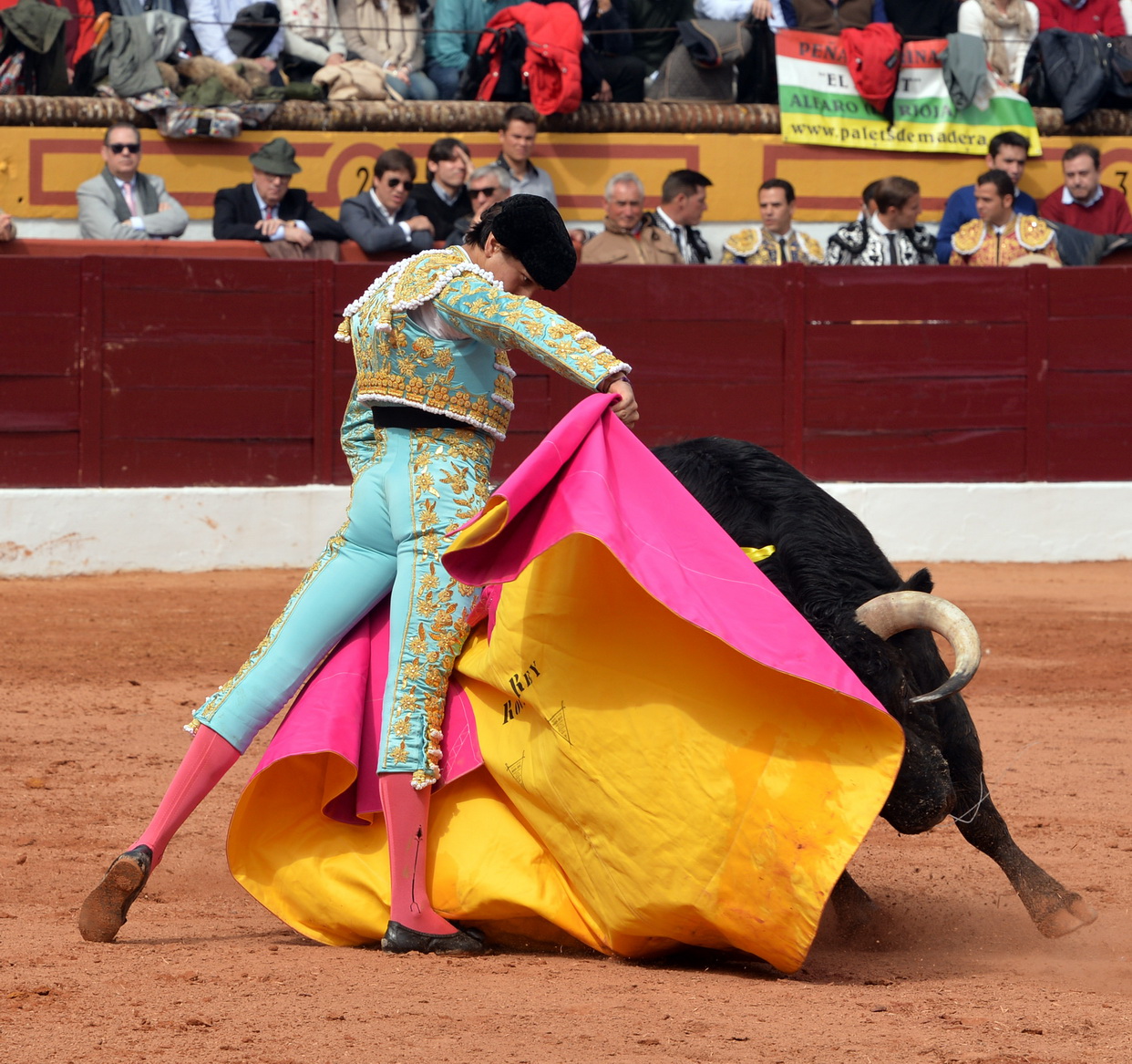 Olienza (Badajoz) - Festejo matinal del domingo 4 de marzo de 2018
