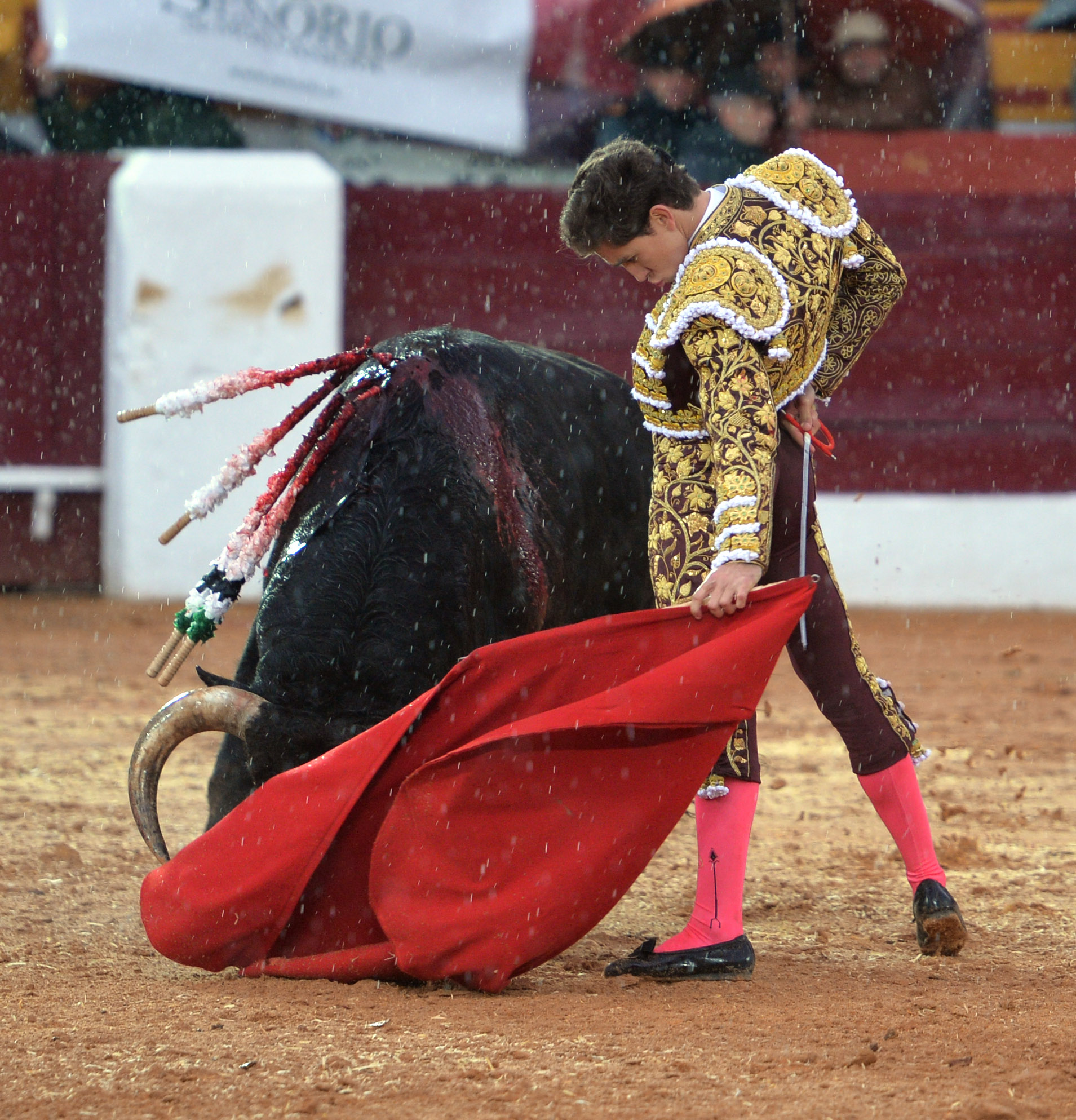 Olivenza(badajoz) - Festejo vespertino del sábado 3 de marzo de 2018