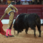 Olivenza(badajoz) - Festejo vespertino del sábado 3 de marzo de 2018