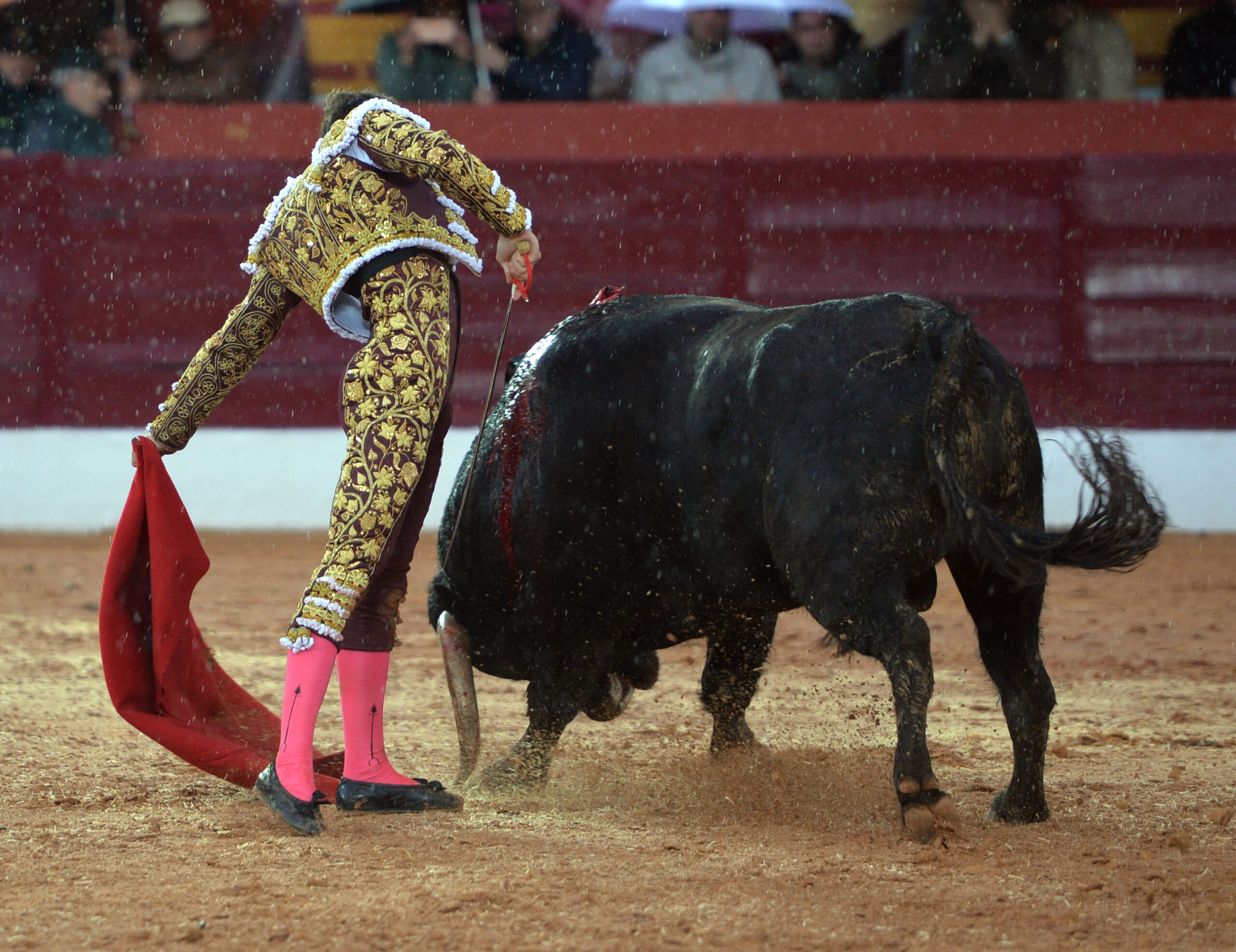 Olivenza(badajoz) - Festejo vespertino del sábado 3 de marzo de 2018
