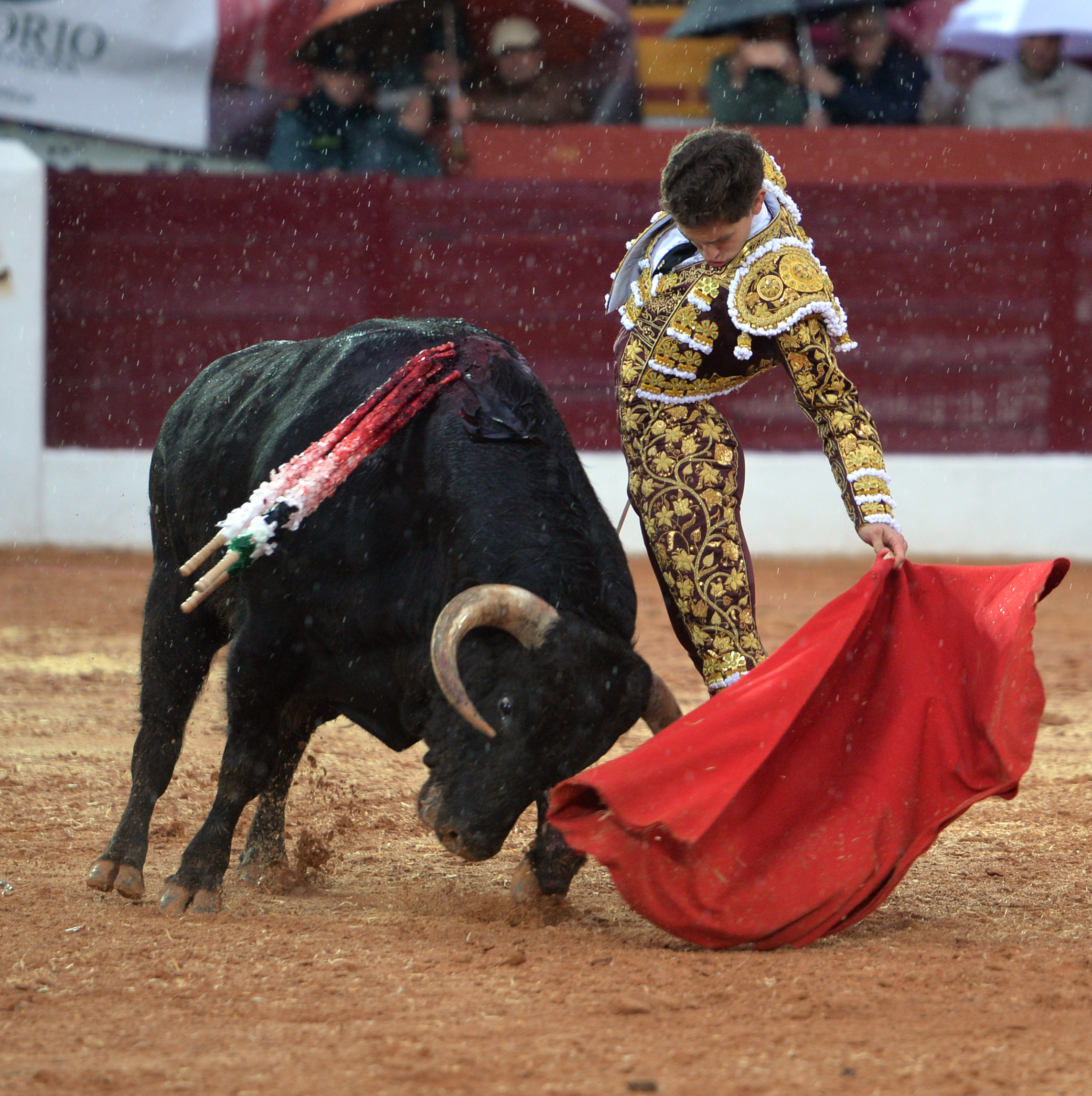 Olivenza(badajoz) - Festejo vespertino del sábado 3 de marzo de 2018