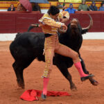 Olivenza - Sábado 3 de marzo de 2018 - Festejo matinal