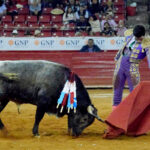 Primera novillada del ciclo "Soñadores de Gloria" en México D.F.