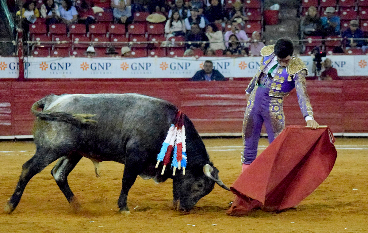 Primera novillada del ciclo "Soñadores de Gloria" en México D.F.