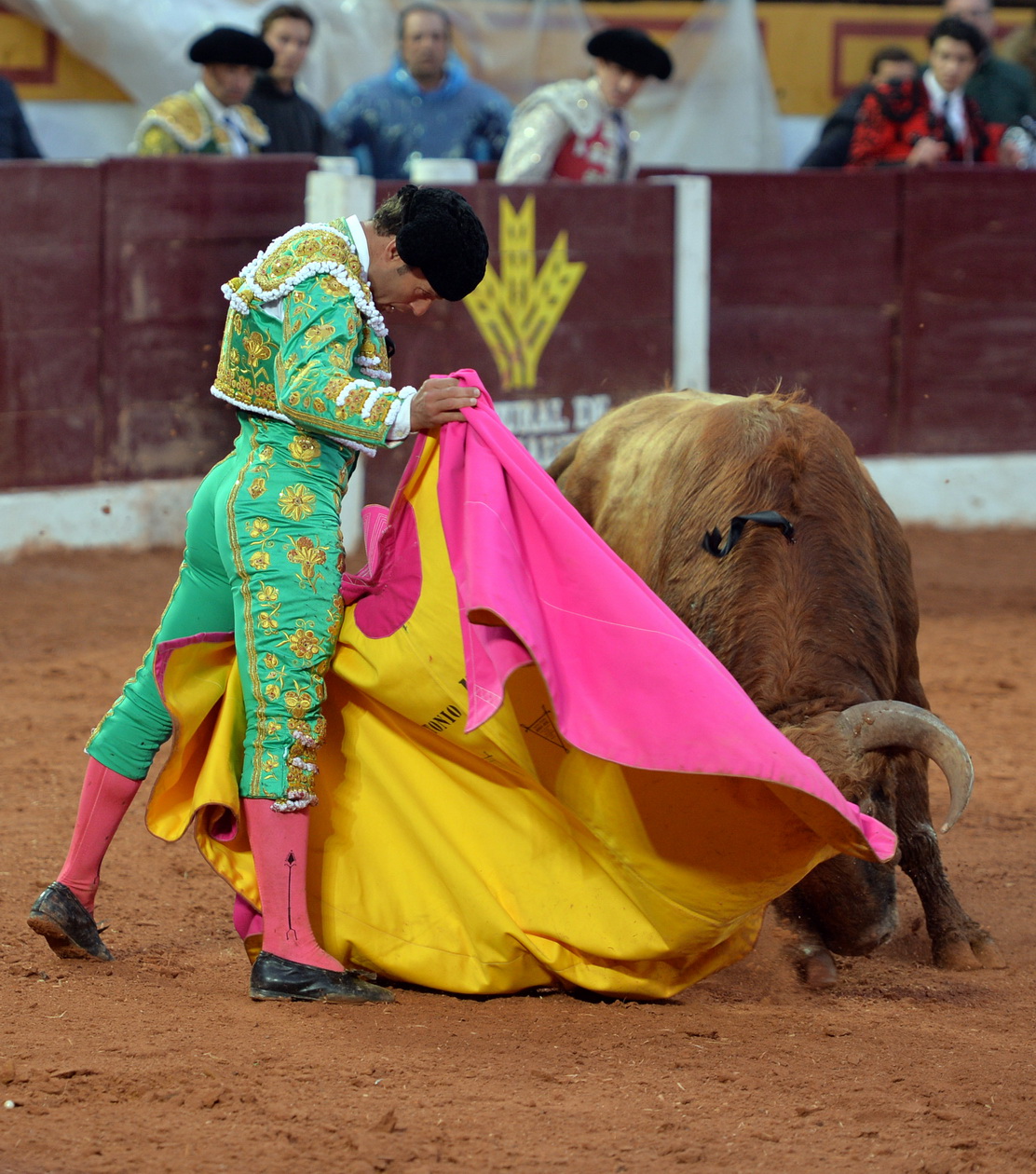 Olivenza (Badajoz) - Festejo vespertino del domingo 4 de marzo de 2018