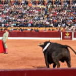 Olienza (Badajoz) - Festejo matinal del domingo 4 de marzo de 2018