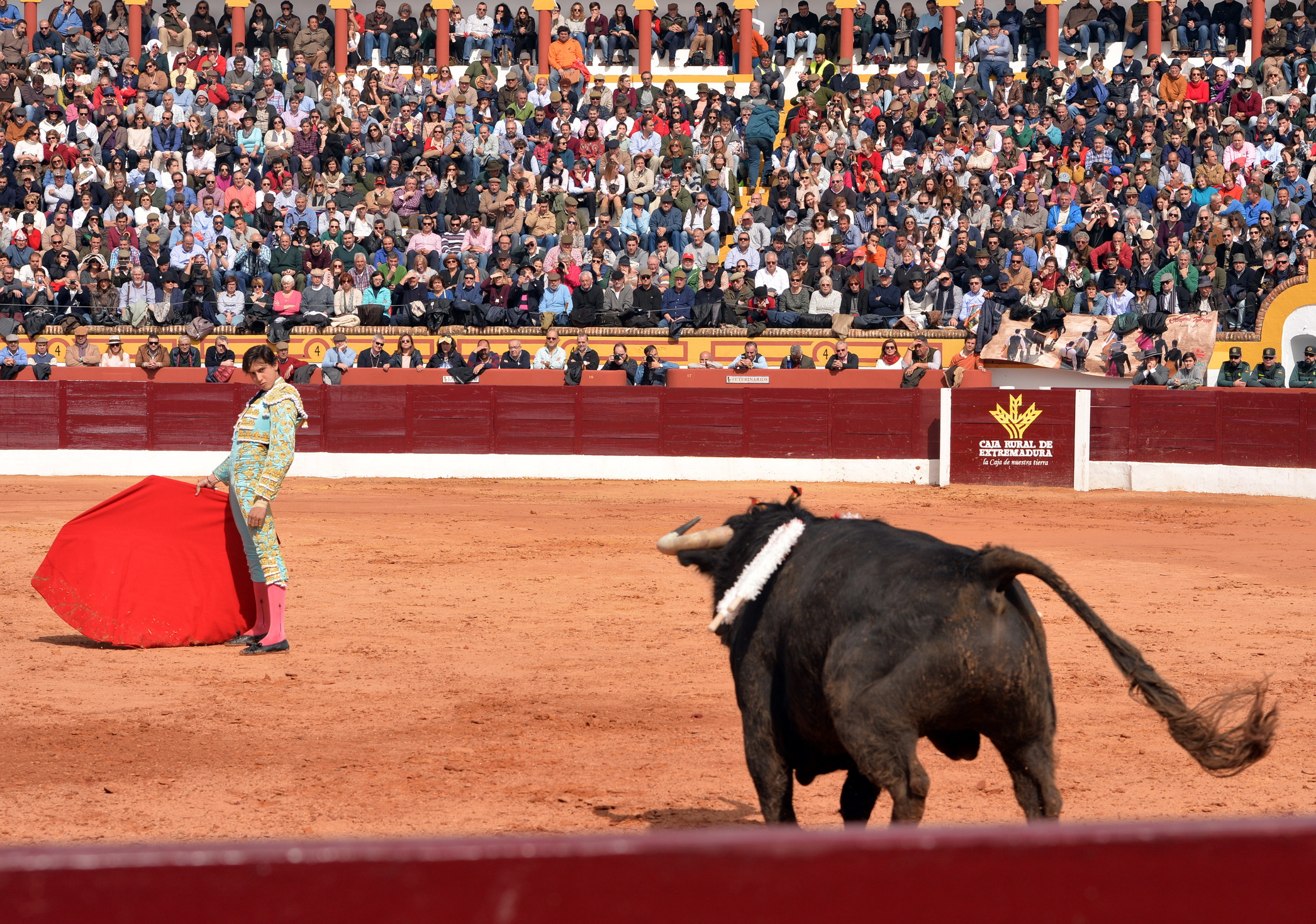 Olienza (Badajoz) - Festejo matinal del domingo 4 de marzo de 2018