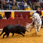 Redondo (Portugal) - Festival Radio Campanario - Sábado 10 de marzo de 2018