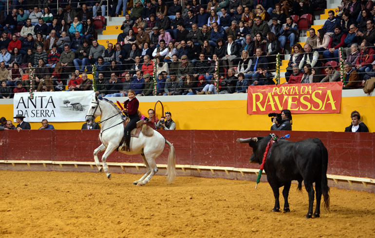 Redondo (Portugal) - Festival Radio Campanario - Sábado 10 de marzo de 2018