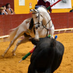 Redondo (Portugal) - Festival Radio Campanario - Sábado 10 de marzo de 2018