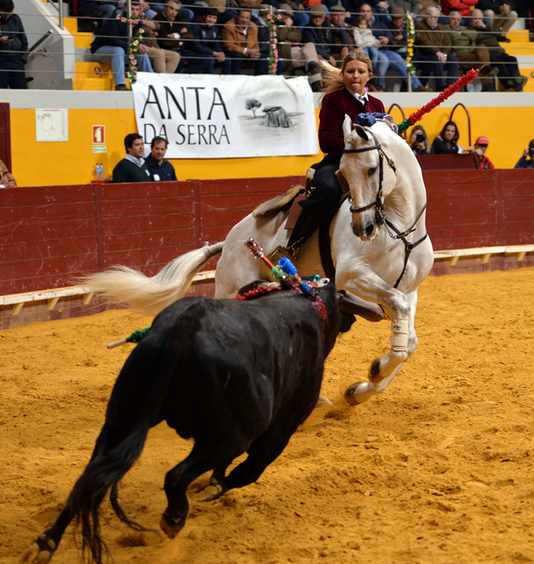 Redondo (Portugal) - Festival Radio Campanario - Sábado 10 de marzo de 2018