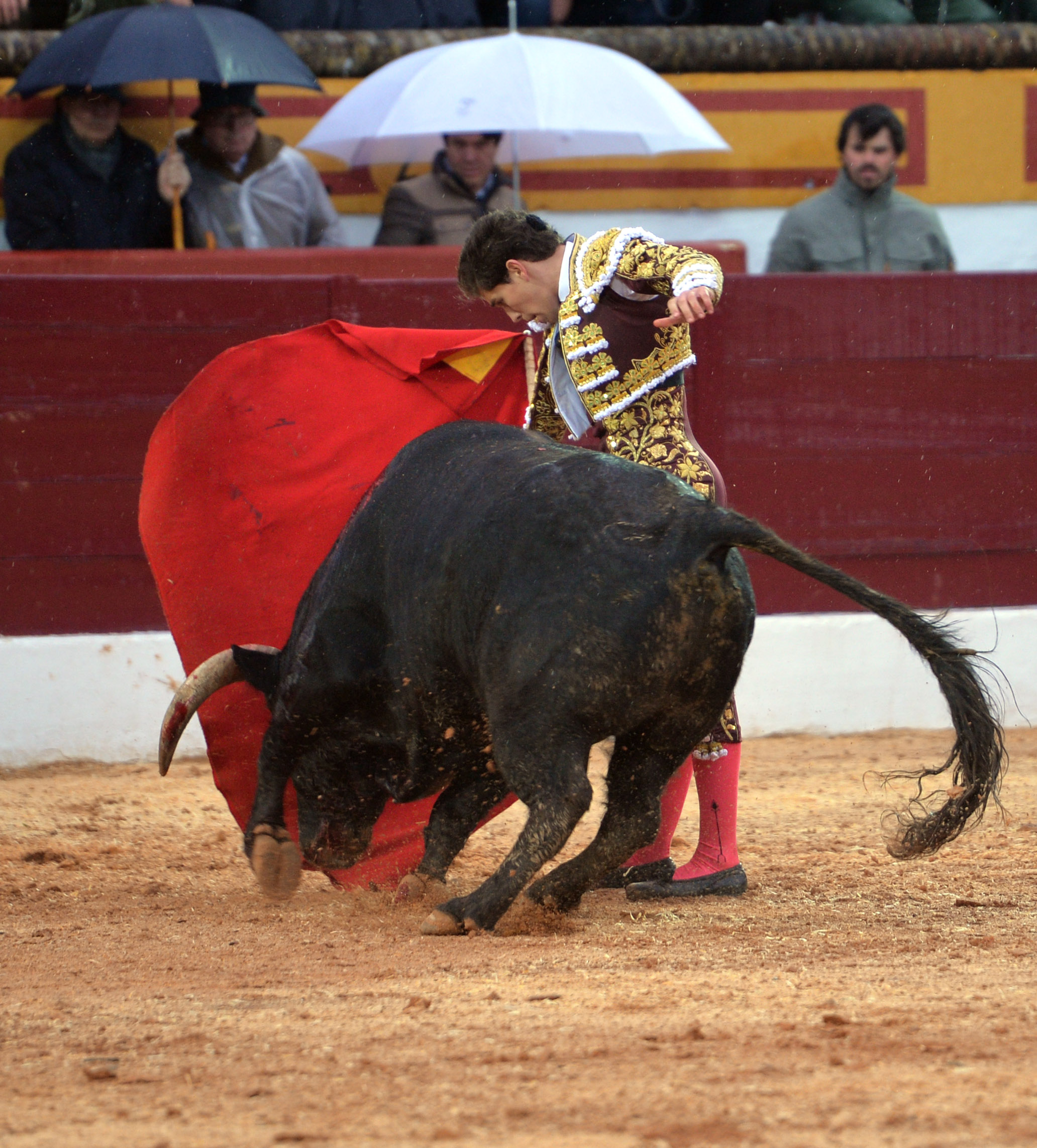 Olivenza(badajoz) - Festejo vespertino del sábado 3 de marzo de 2018