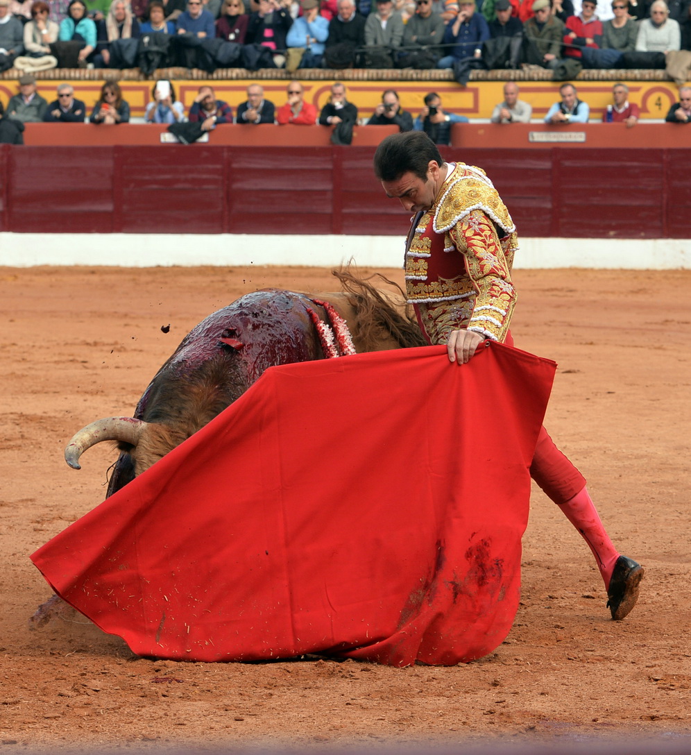 Olienza (Badajoz) - Festejo matinal del domingo 4 de marzo de 2018