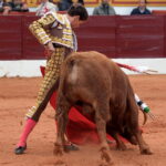 Olivenza (Badajoz) - Festejo vespertino del domingo 4 de marzo de 2018