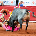 Ciudad de México, domingo 11 de marzo de 2018.