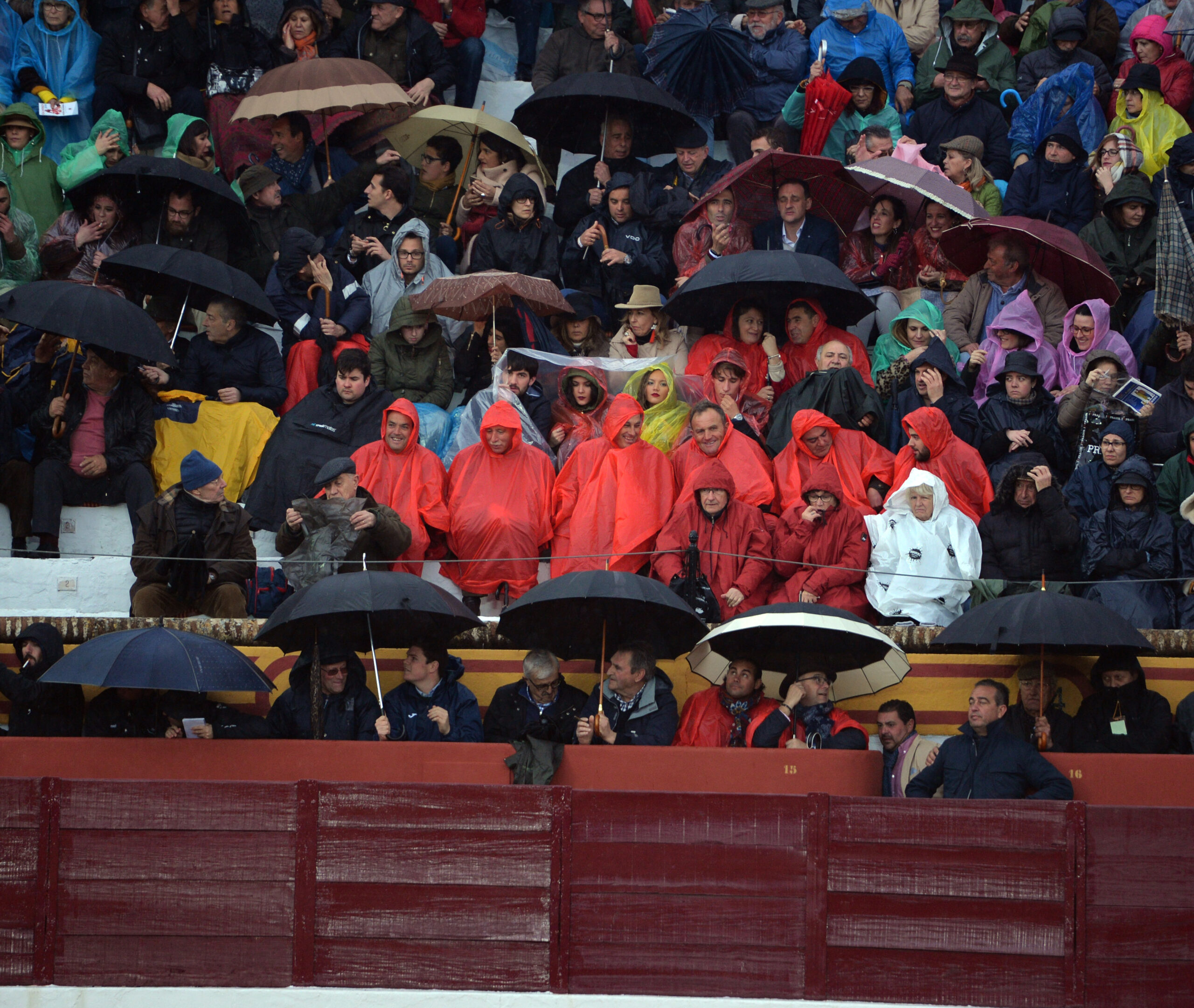 Olivenza(badajoz) - Festejo vespertino del sábado 3 de marzo de 2018