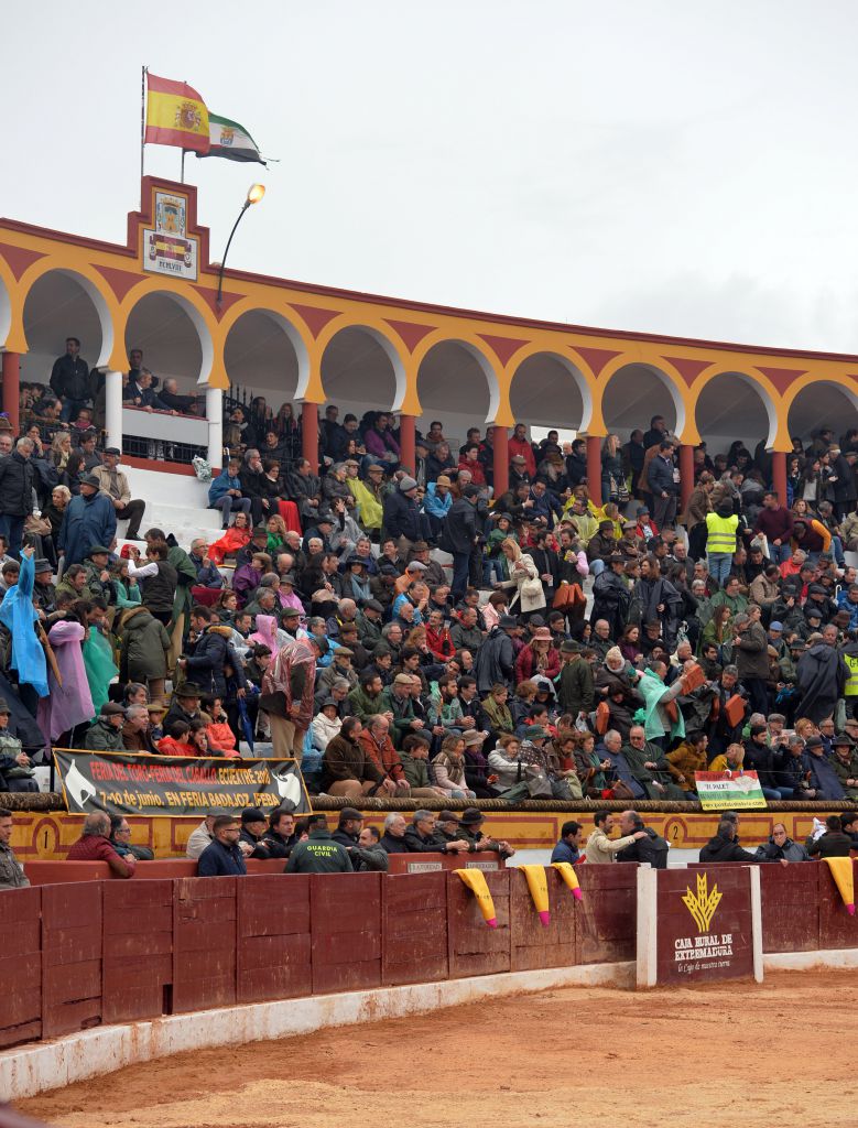 Olivenza(badajoz) - Festejo vespertino del sábado 3 de marzo de 2018