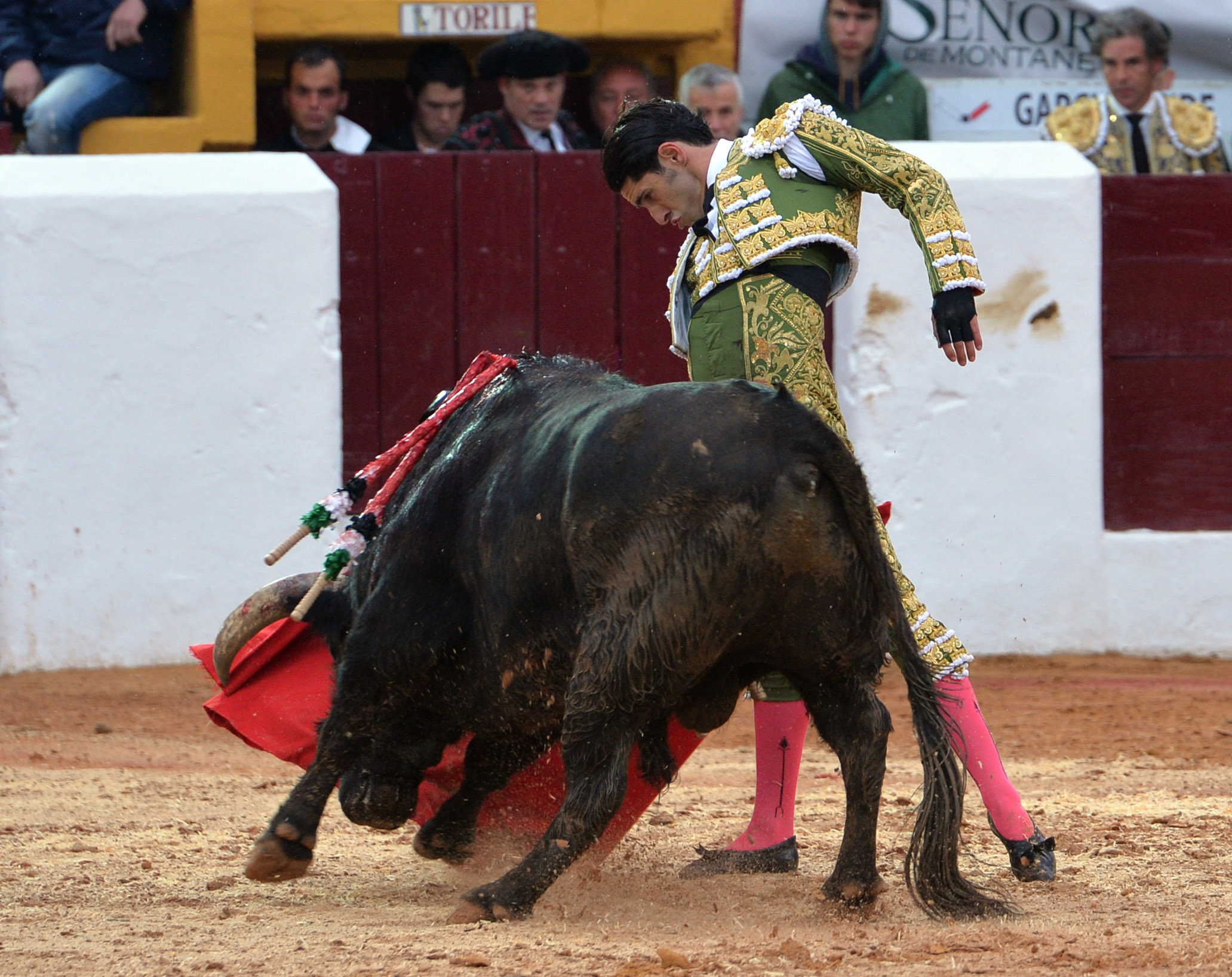 Olivenza(badajoz) - Festejo vespertino del sábado 3 de marzo de 2018