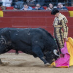 Valencia, 15 de marzo de 2018.