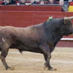 Valencia, 15 de marzo de 2018.