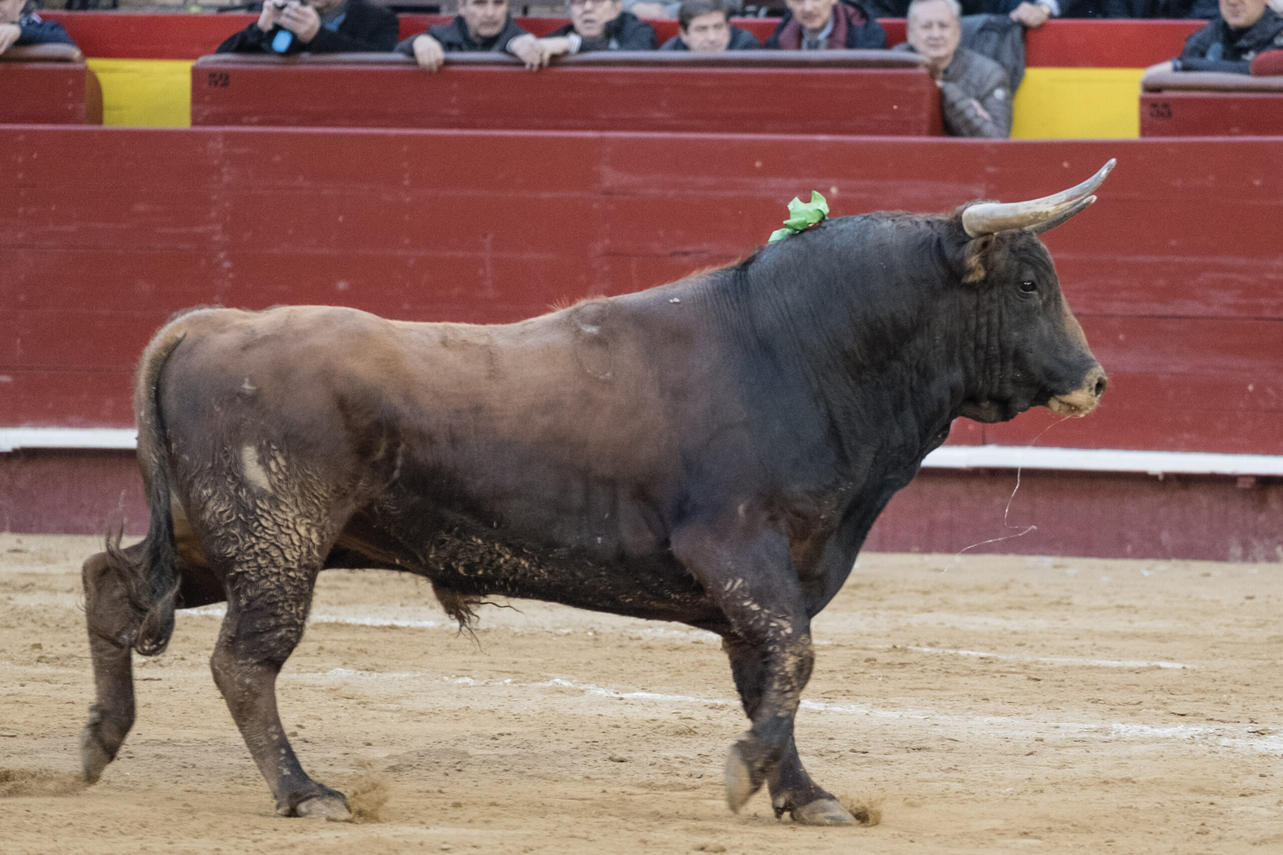Valencia, 15 de marzo de 2018.