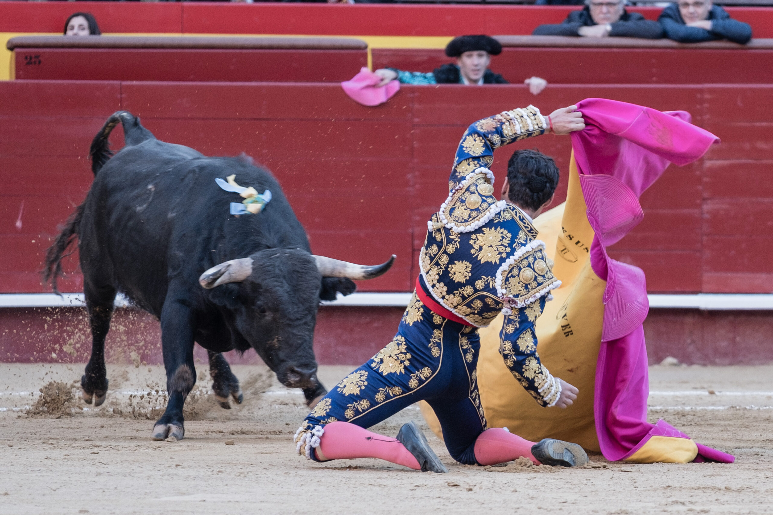 Valencia, 12 de marzo de 2018.