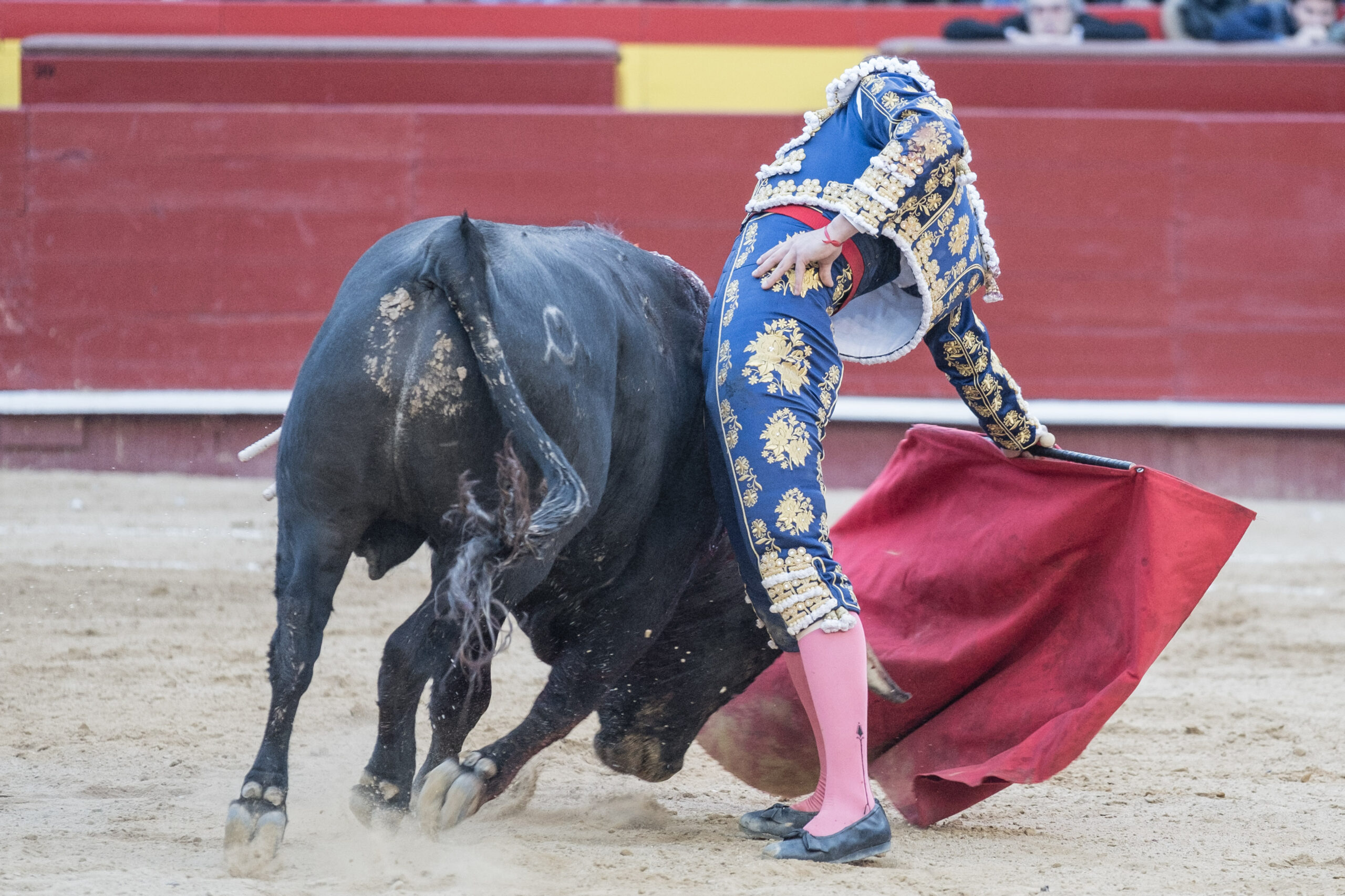 Valencia, 12 de marzo de 2018.