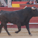 Valencia, 12 de marzo de 2018.