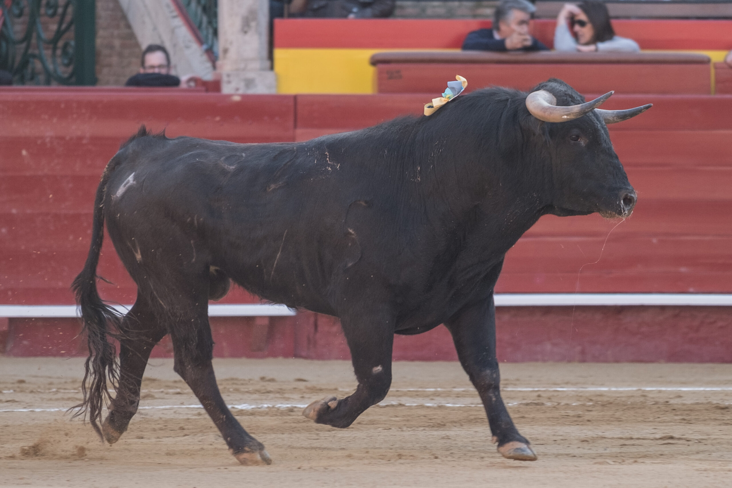 Valencia, 12 de marzo de 2018.