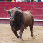 Valencia, 14 de marzo de 2018.