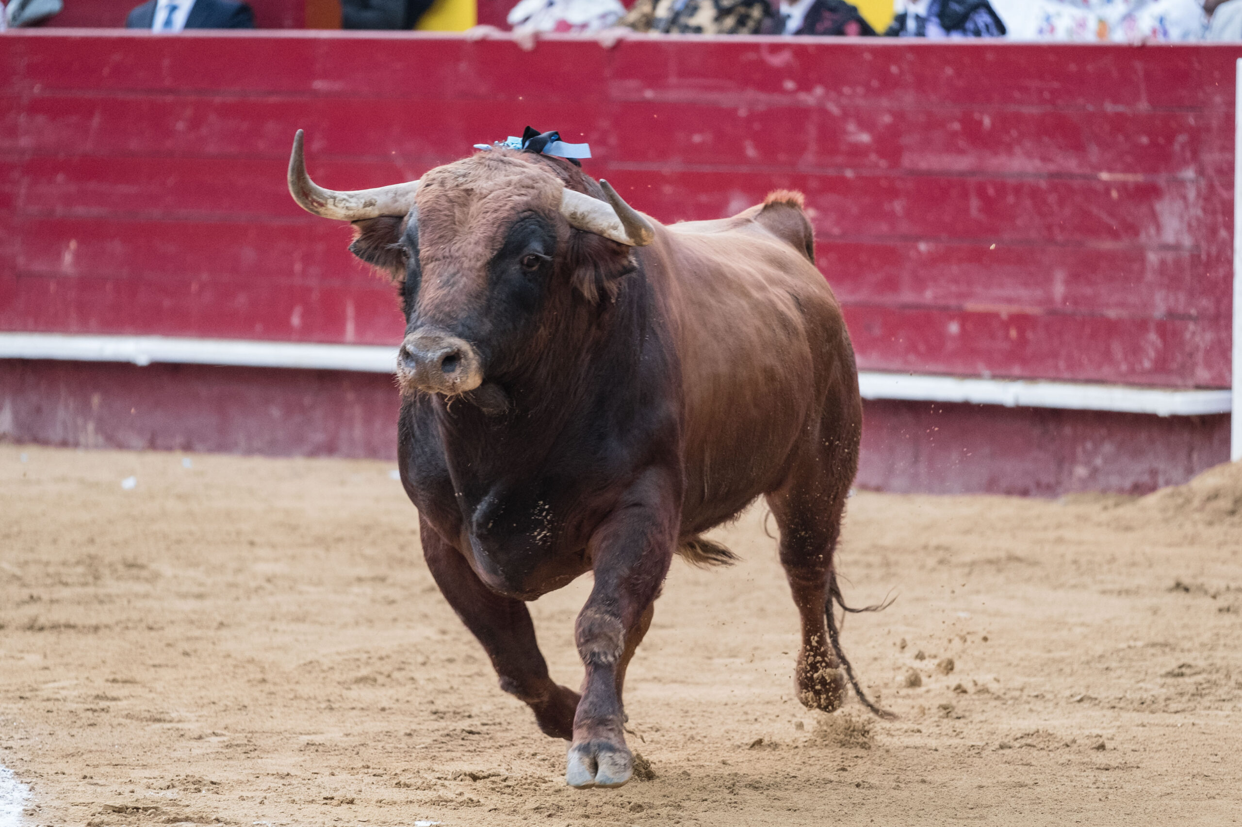 Valencia, 14 de marzo de 2018.