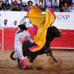 Guadalajara (México), 11 de marzo de 2018.