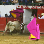 Guadalajara (México), 11 de marzo de 2018.