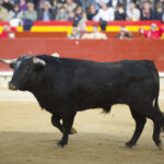 Castellón - 1ª de Feria de la Magdalena 2018 - Domingo 4 de marzo de 2018